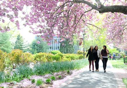 Trường Đại học Webster University - Hành trình chinh phục tri thức toàn cầu 2 adelphi university hoc bong dac biet 30 000 nam danh cho sinh vien quoc te 68ad78eb88c48