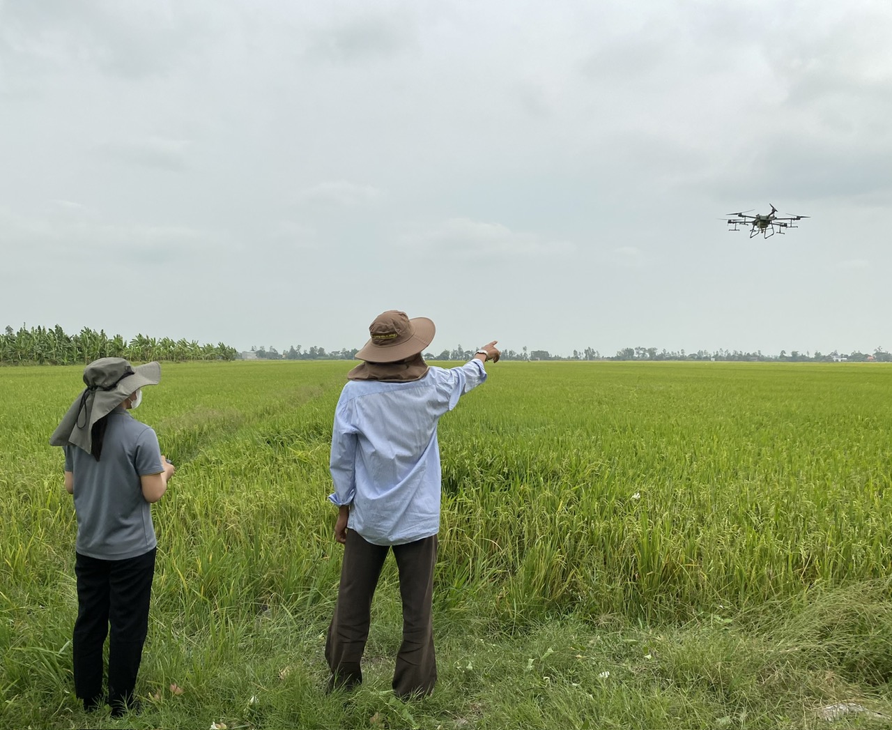 Xu Hướng Du Học Ngành Phát Triển Bền Vững và Chương Trình Hybrid Giữa Thời Đại Covid-19 Xu Hướng Du Học Ngành Phát Triển Bền Vững và Chương Trình Hybrid Giữa Thời Đại Covid-19