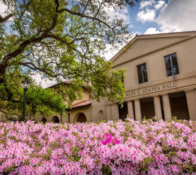 Trường Louisiana State University (LSU): Đại học quốc gia lớn nhất bang Louisiana Trường Louisiana State University (LSU): Đại học quốc gia lớn nhất bang Louisiana