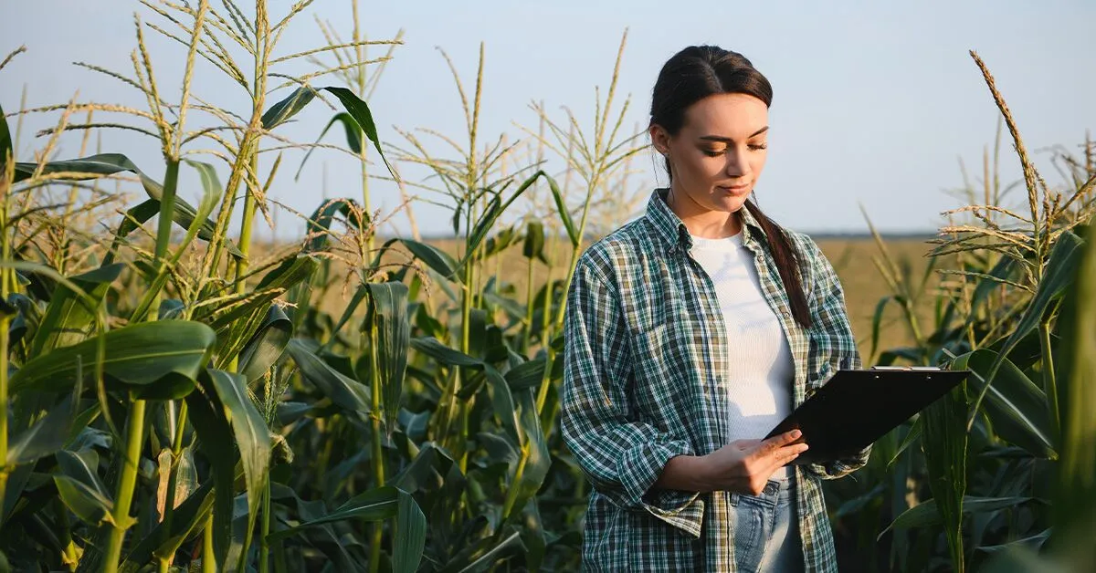 Lộ trình định cư Canada qua du học 2026: Chiến lược từ A-Z Lộ trình định cư Canada qua du học 2026: Chiến lược từ A-Z