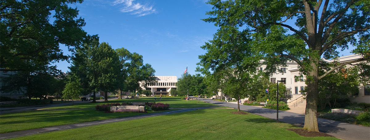 American University Washington D.C 2027: Học phí & ngành 8 Khuôn viên Friedheim Quad và thư viện American University vào buổi sáng tại Washington D.C
