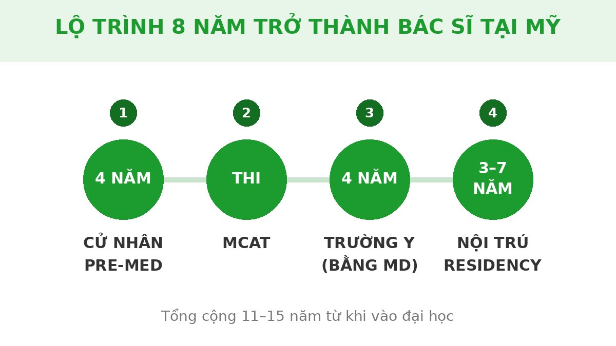 Du học Mỹ ngành Y khoa 2027: lộ trình 8 năm thành bác sĩ 3 Lộ trình 8 năm trở thành bác sĩ tại Mỹ