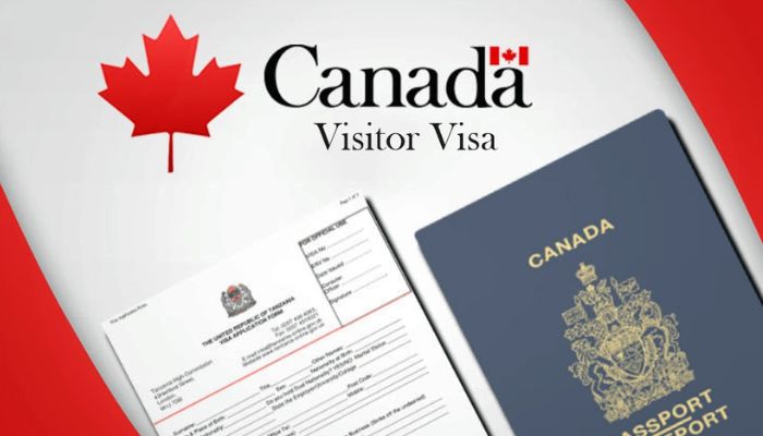 Visa du học Canada 2027: Chính sách mới & điều kiện 9 Cách chinh phục visa du học Canada 2026
