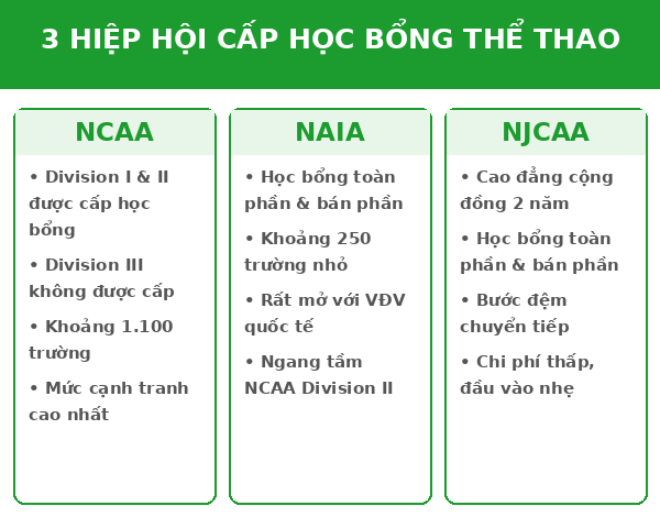 Học bổng thể thao du học Mỹ 2027: Điều kiện NCAA, NAIA, NJCAA & cách săn học bổng 3 So sánh 3 hiệp hội thể thao đại học Mỹ cấp học bổng: NCAA, NAIA, NJCAA