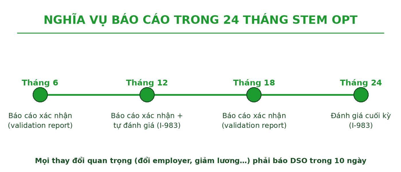 STEM OPT 24 tháng du học Mỹ 2027: điều kiện, hồ sơ & cách xin 4 Infographic các mốc nghĩa vụ báo cáo trong 24 tháng STEM OPT