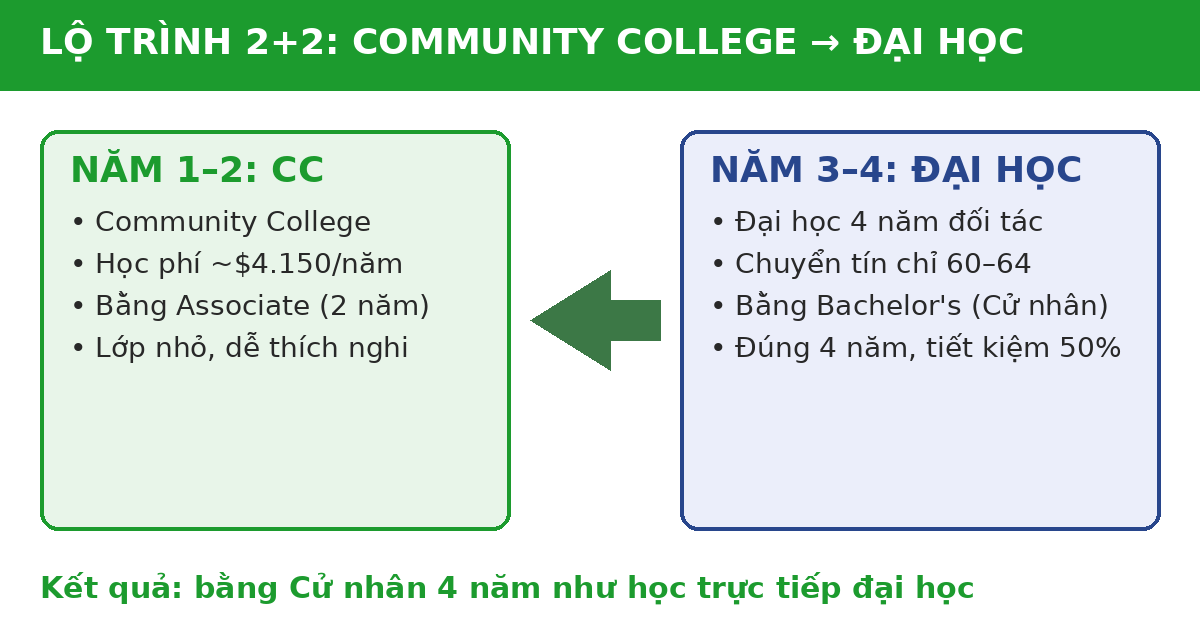 Community college du học Mỹ 2027: lựa chọn tiết kiệm cho học sinh Việt Nam 3 Infographic lộ trình 2+2 từ Community College lên đại học Mỹ