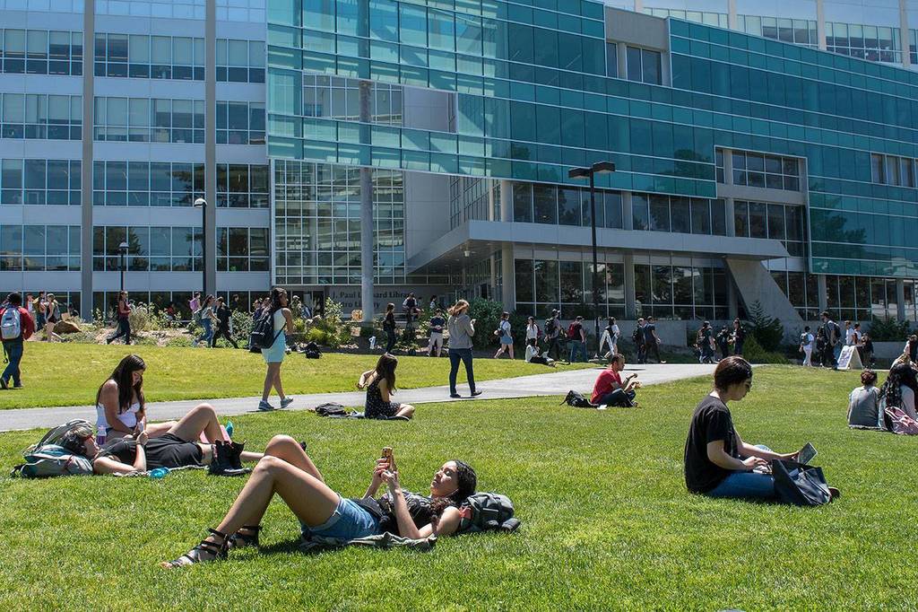 San José State University 2027: Học phí & 5 Thư viện Dr. Martin Luther King Jr. tại khuôn viên San José State University