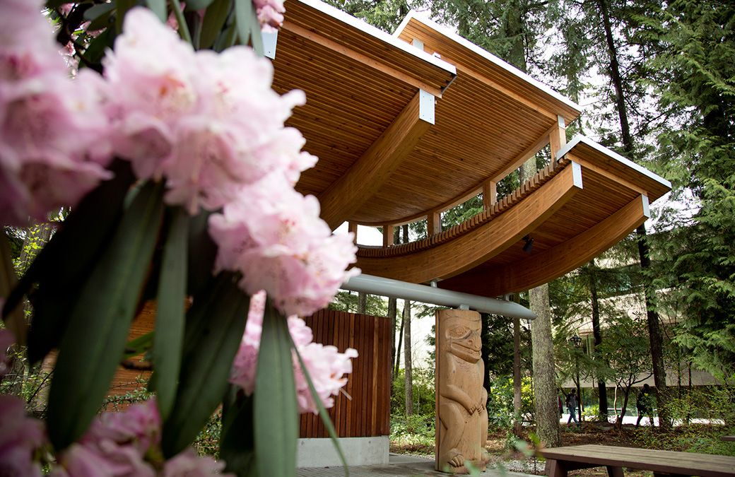 Capilano University Canada 2027: Học phí & điều kiện 8 Lưu ý khi du học tại Capilano University